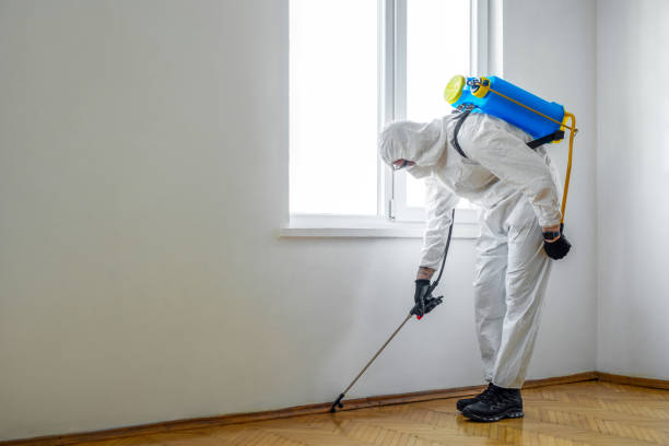 Best Pest Inspection Near Me  in Baltimore, MD