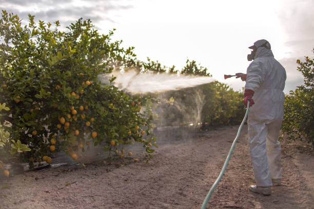 Trusted Baltimore, MD Pest Control Experts