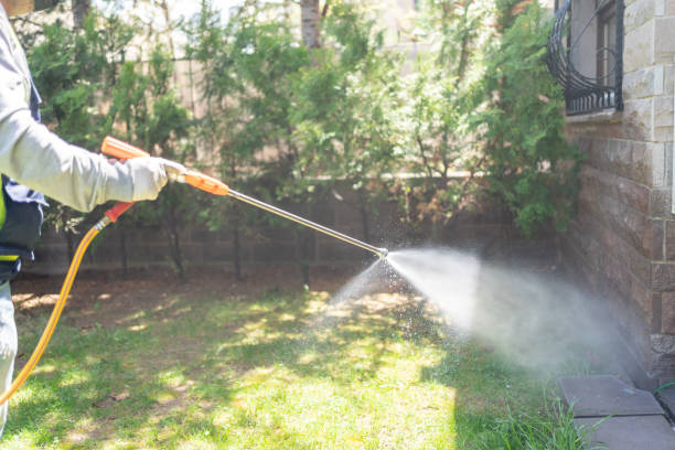 Best Best Pest Control Companies  in Baltimore, MD