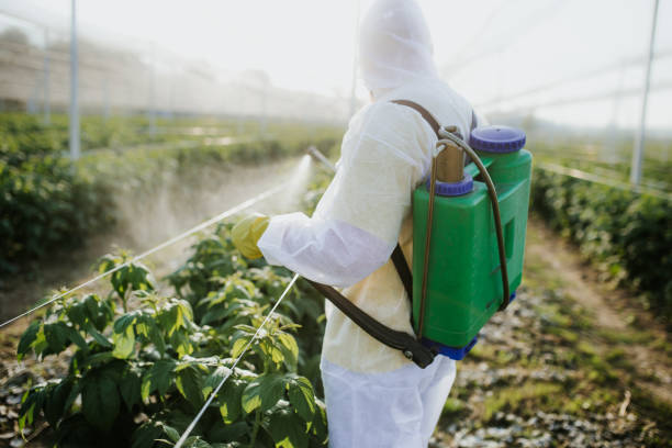 Best Ant Control Services  in Baltimore, MD
